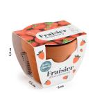 Radis et Capucine - Mini kit Fraisier - Terre Cuite - 6 cm - face recto